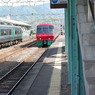 IMGP2590