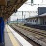 IMGP2597