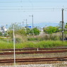 IMGP2598