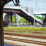 IMGP2599