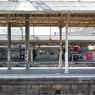 IMGP2603