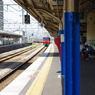 IMGP2604
