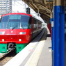 IMGP2605
