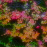 色いろいろ