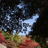 2014 教林坊⑦