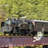 大井川鉄道　第四橋梁②