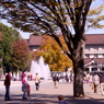 公園散歩３：東京国立博物館前広場１