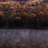 Mystic Morning