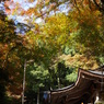 下から見上げる‐諏訪神社