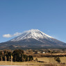 元日の富士