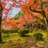 九年庵-主屋前の庭_2014.11.20-3