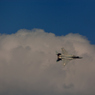F-15J EAGLE・・・・・・・・