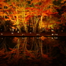 曽木公園ライトアップ
