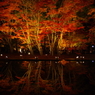 絶景、逆さもみじ