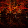 逆さもみじ、夜