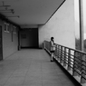 DSC06168-编辑