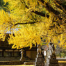 晩秋の福田神社