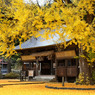 晩秋の福田神社