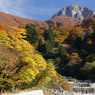 大山寺紅葉