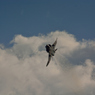 F-4 EJ Phantom..