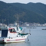 椿湾Ⅱ