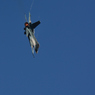 F-2A  VIPER ZERO..