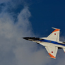 F-2A  VIPER ZERO.....