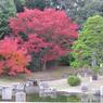 日本庭園３