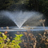 井の頭公園の噴水