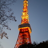 TokyoTower 