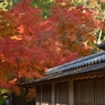 栗林公園の紅葉