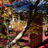 tokugenin shiga