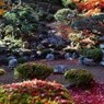 tokugenin shiga