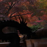 大洞院紅葉3