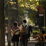 週末は街路樹の下で