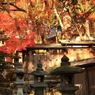 日本の紅葉風景