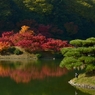 栗林公園の紅葉