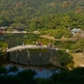 栗林公園の紅葉