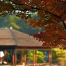 栗林公園の紅葉