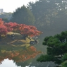 栗林公園の紅葉