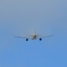 離陸(327)CEBU Airbus A320ﾍﾞｲﾊﾟｰ?