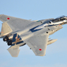 築城基地航空祭　F-15J記念塗装機
