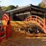 下鴨神社