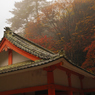 屋根