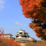『松山城～紅葉』