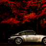 紅と９９３