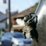 DSC05096
