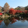 円山公園（京都）