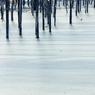 The Ice Pond