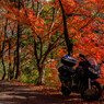 紅葉の中を行く